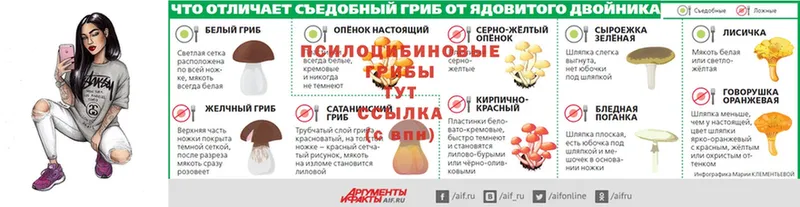 Галлюциногенные грибы Psilocybine cubensis  MEGA как войти  Гаврилов-Ям 